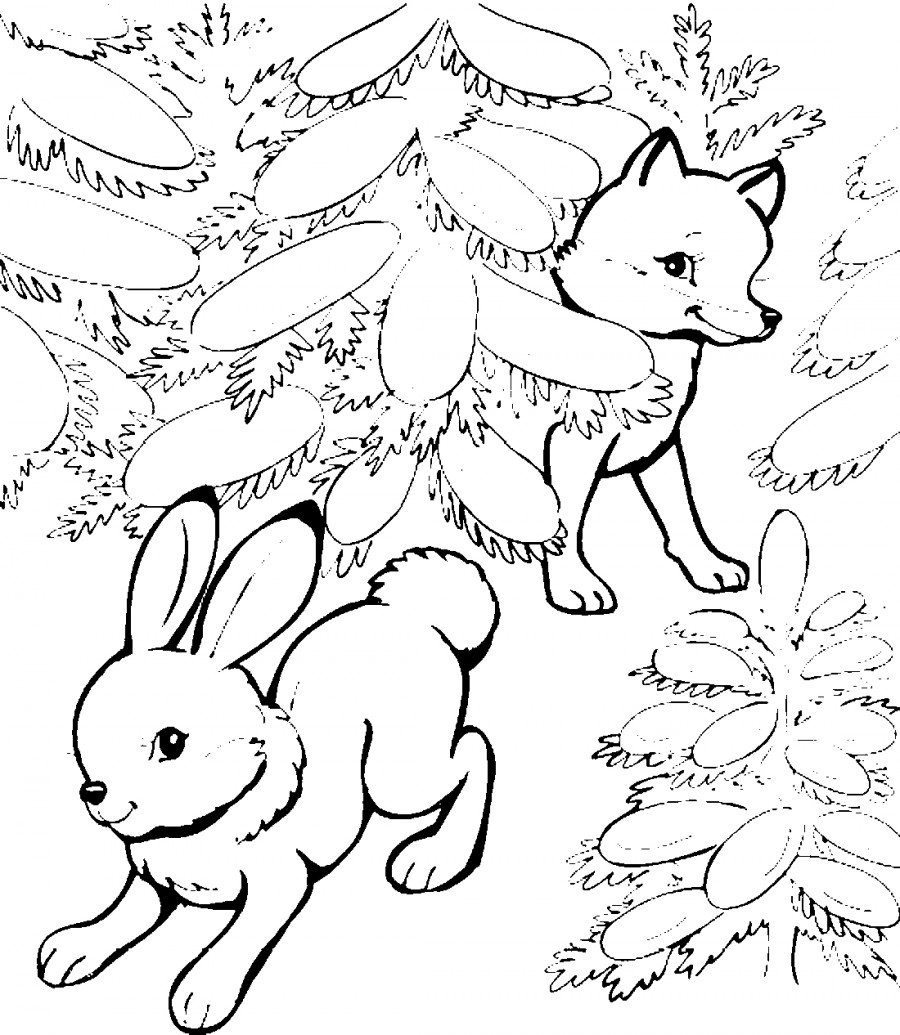 Лиса и заяц раскраска
