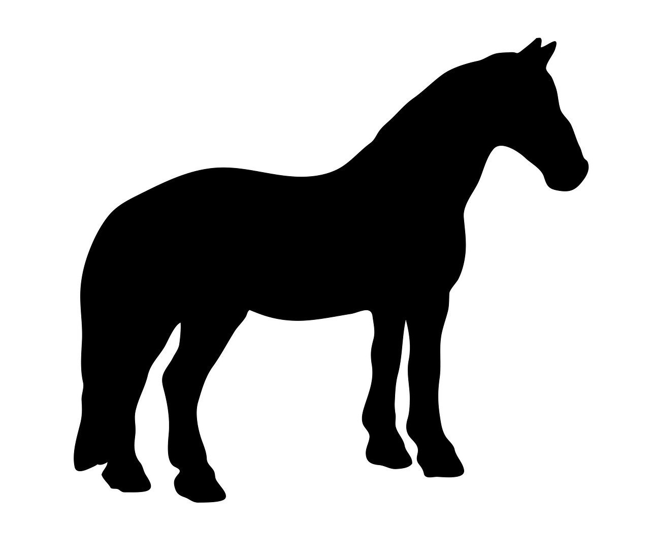 Силуэт лошади