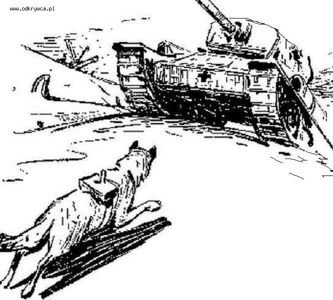 Животные в великой отечественной войне рисунок. Собаки подрывники танков ВОВ. Собаки истребители танков ВОВ. Собаки подрывники танков второй мировой войны погибали.
