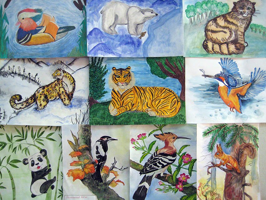 Конкурсы животный мир. Животный мир рисунок. Мир заповедной природы рисунки. Растения и животные рисунок. Рисунок на конкурс животные.