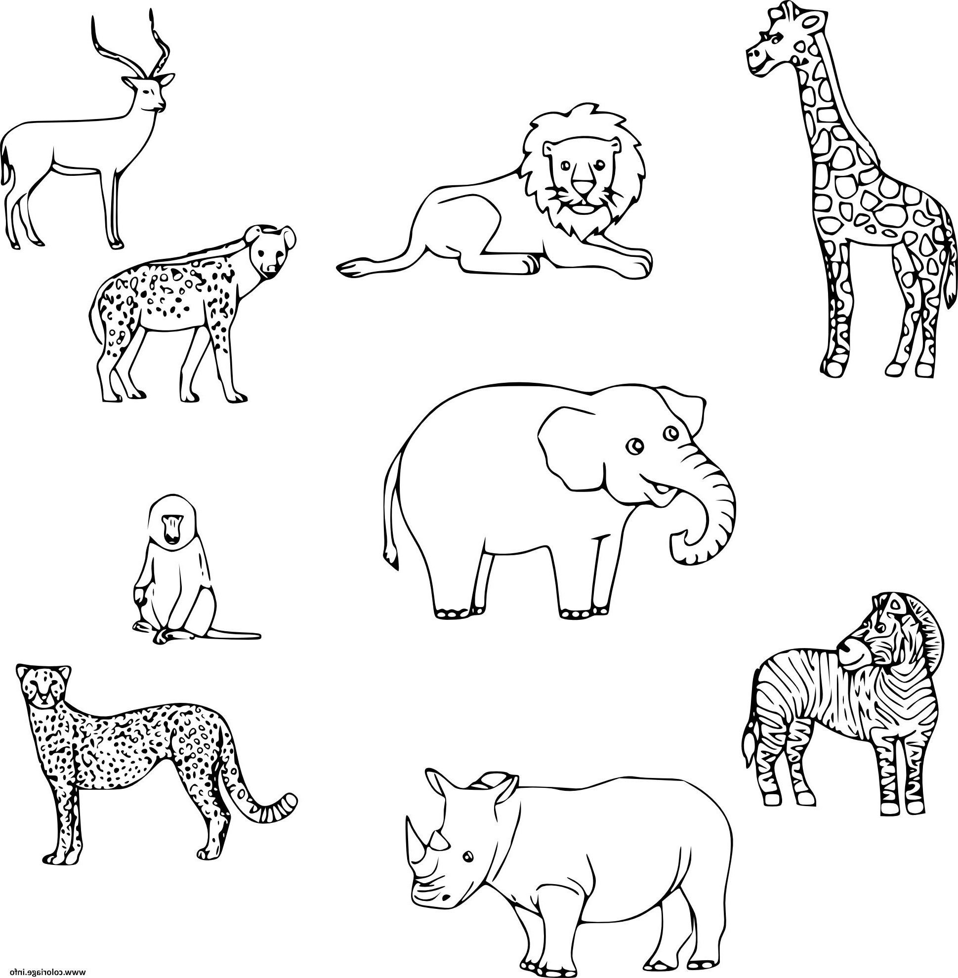 Картинки животных для распечатки