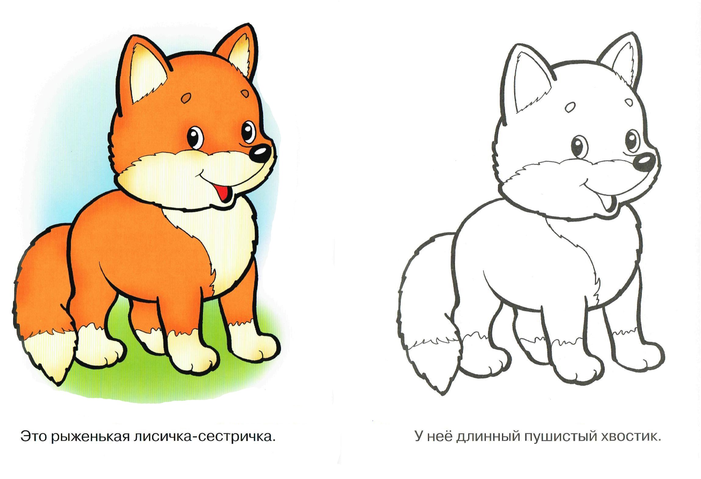 Раскраска лисы для детей
