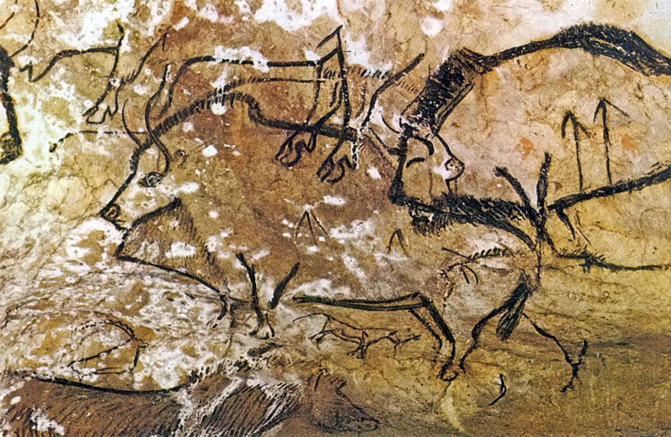 Краски известны человечеству с первобытных времен. Росписи в пещере Руффиньяк. Наскальная живопись пещера Руффиньяк. Мамонт пещера Руффиньяк. Мамонт из пещеры Руффиньяк.