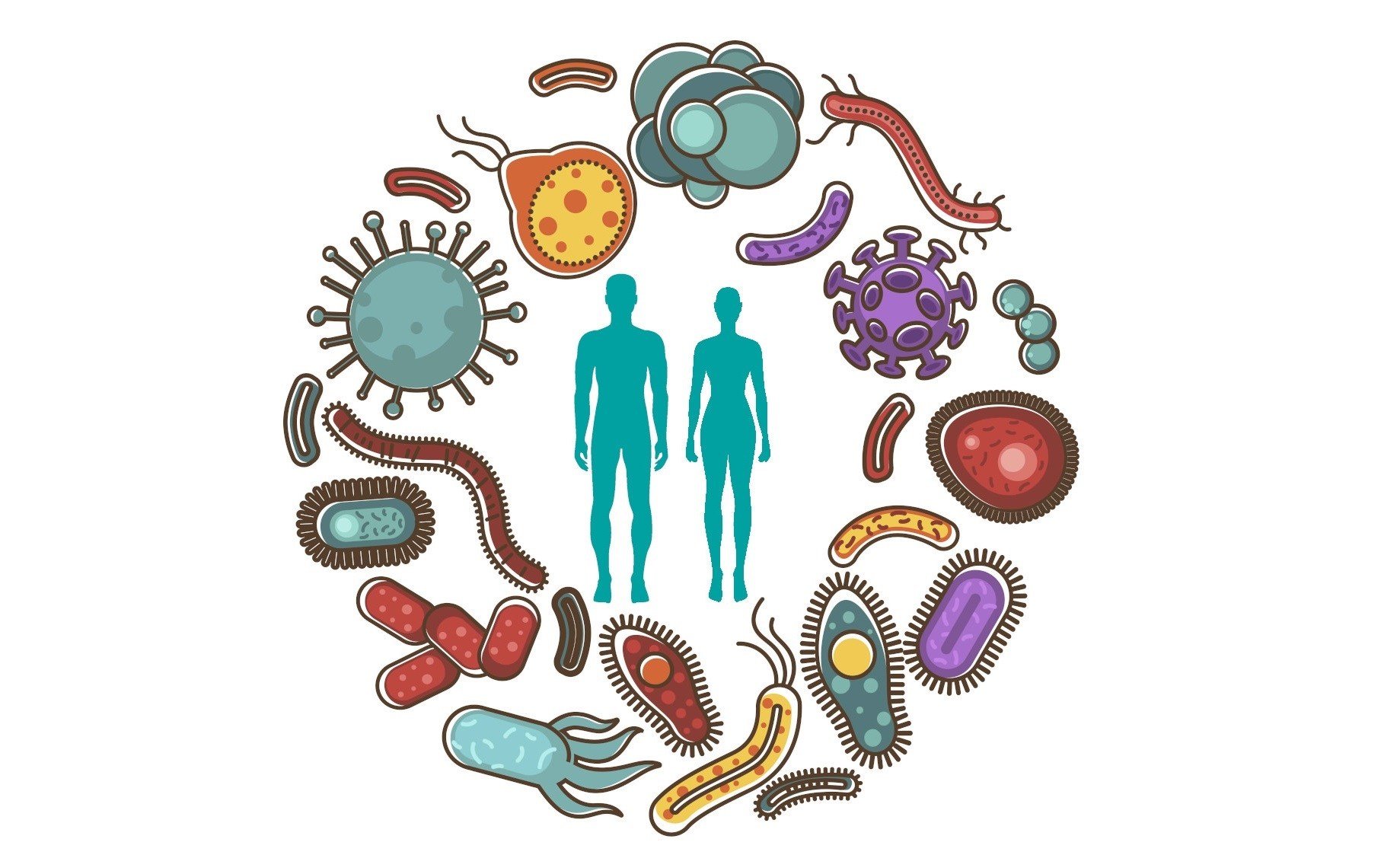Микробиота кишечника микробиология