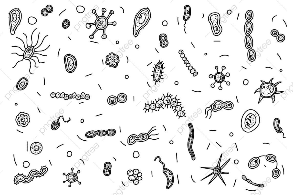 Микроорганизм черно белое