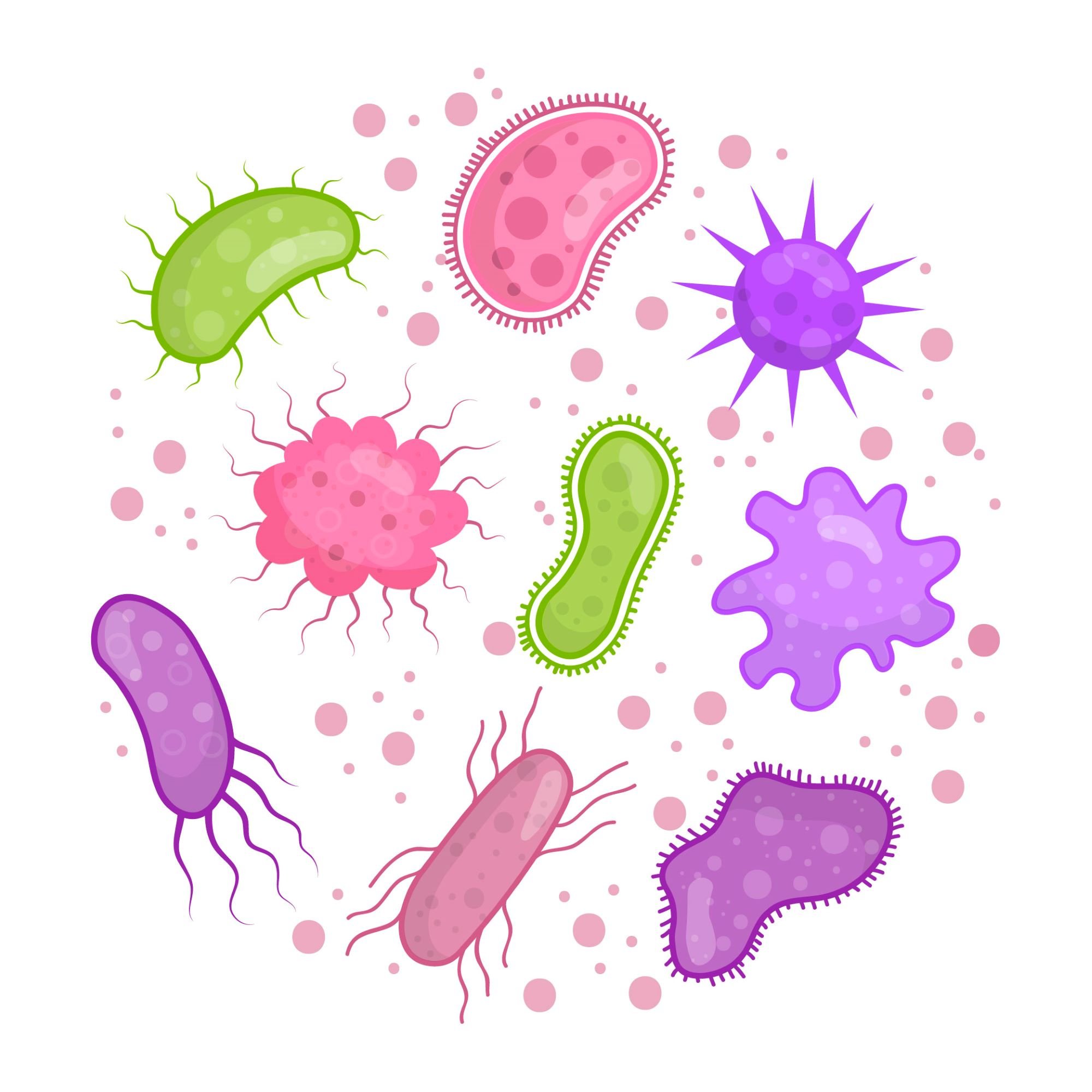 Бактерии на белом фоне