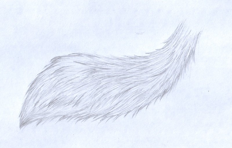 Шерсть карандашом. Зарисуй шерсть зверей. Лисий хвост для рисования. Прорисовка шерсти животных. Нарисованная шерсть.