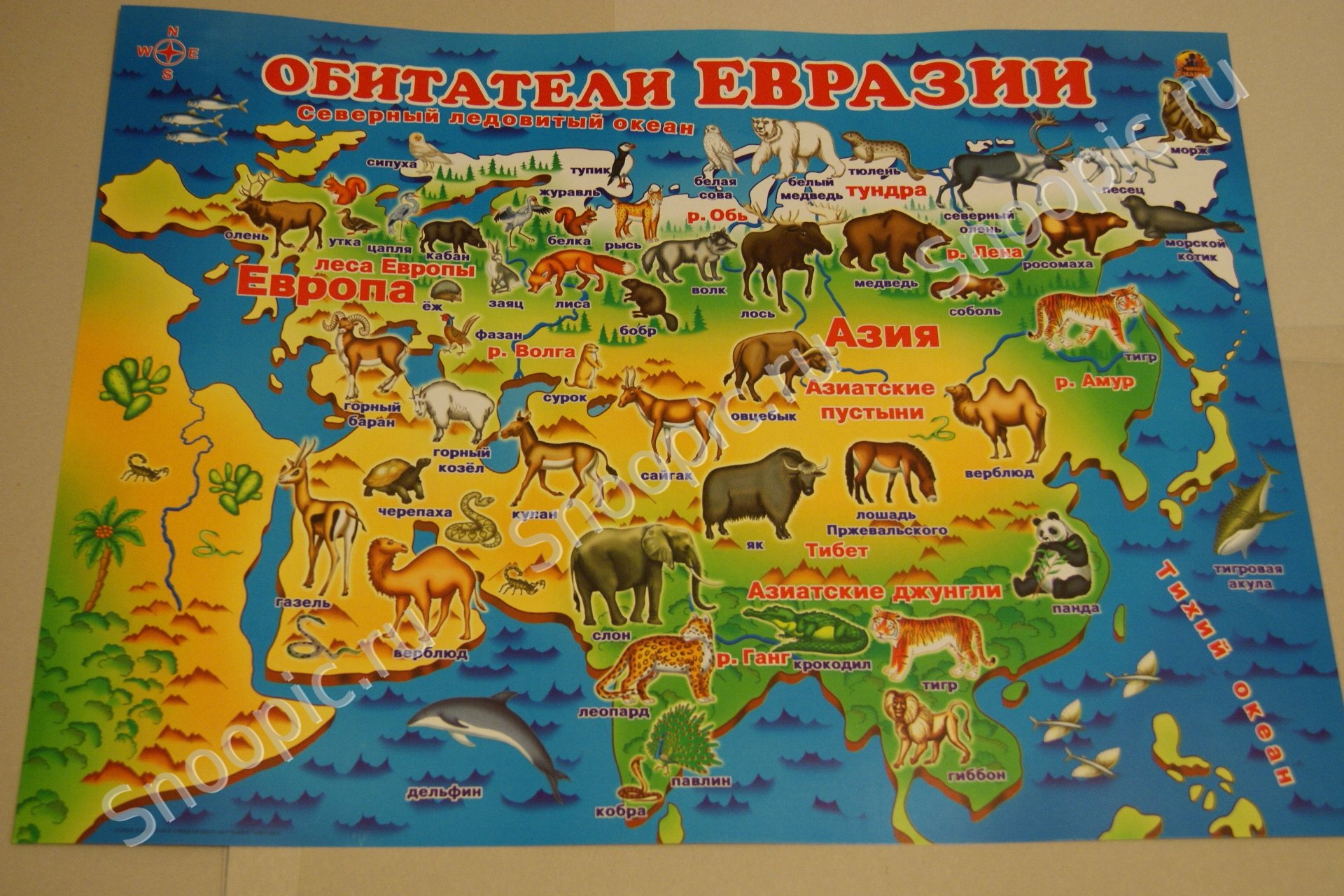 Карта россии плакат