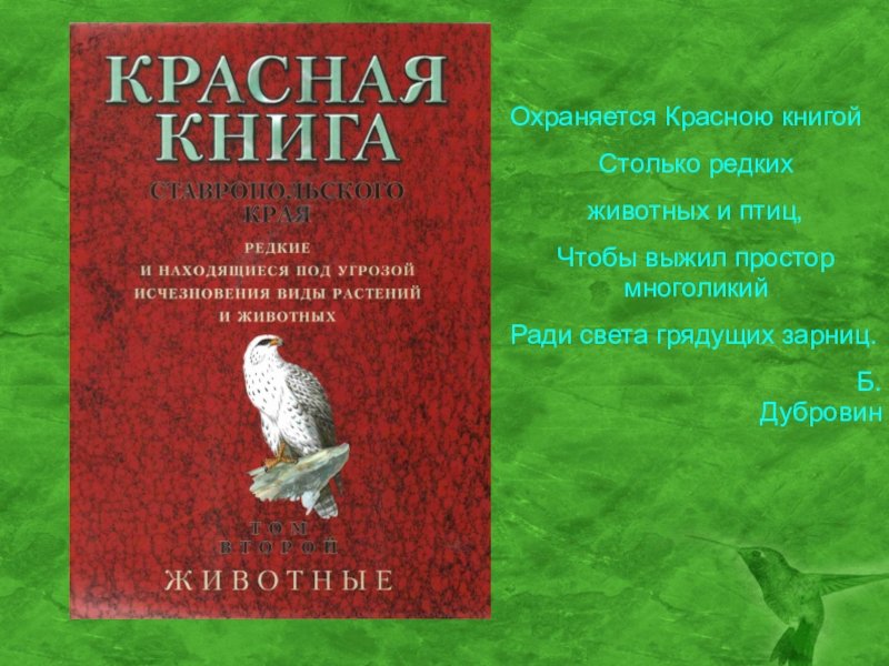 Красная книга список птиц