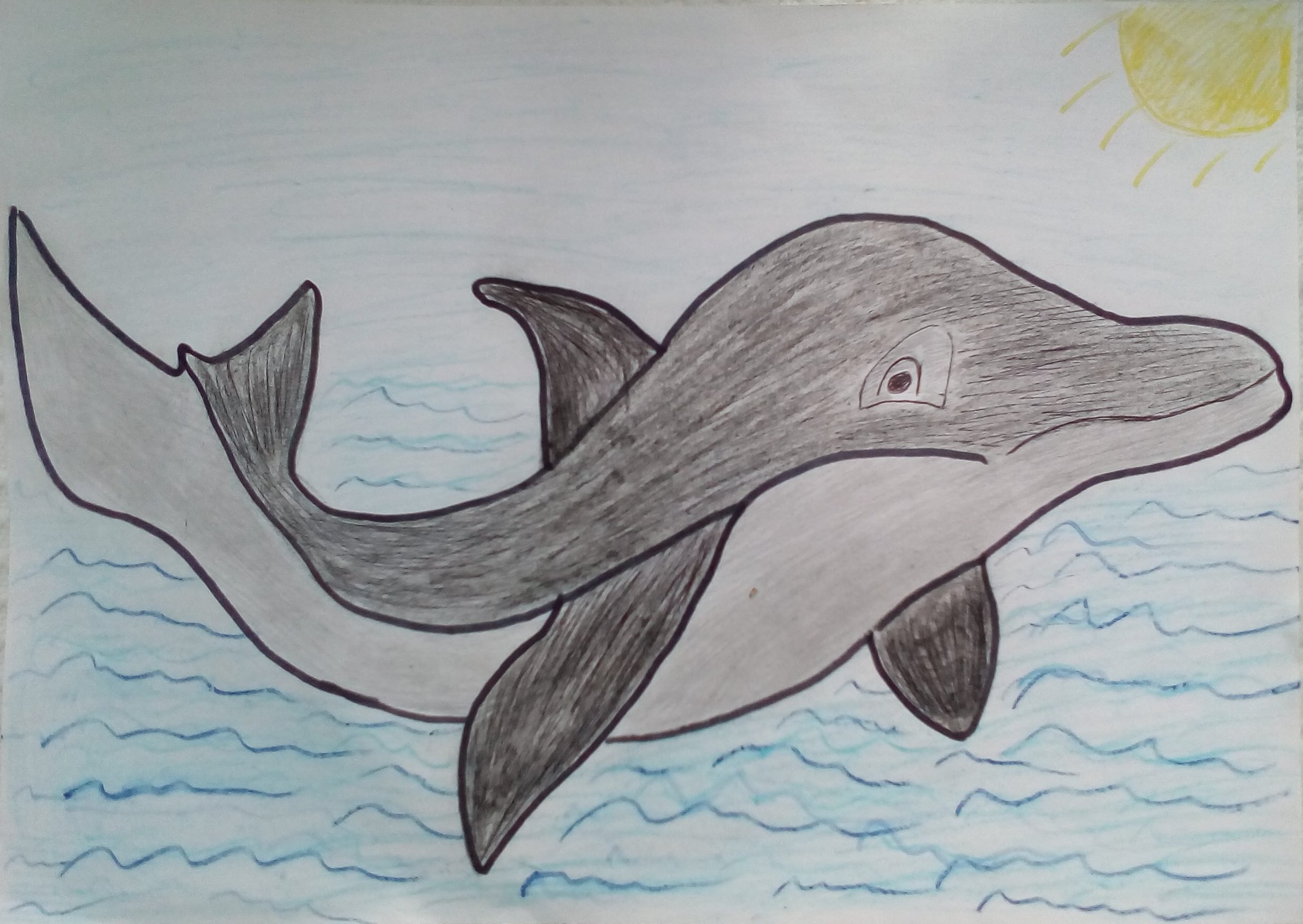 Рисунок дельфина Афалина Черноморского
