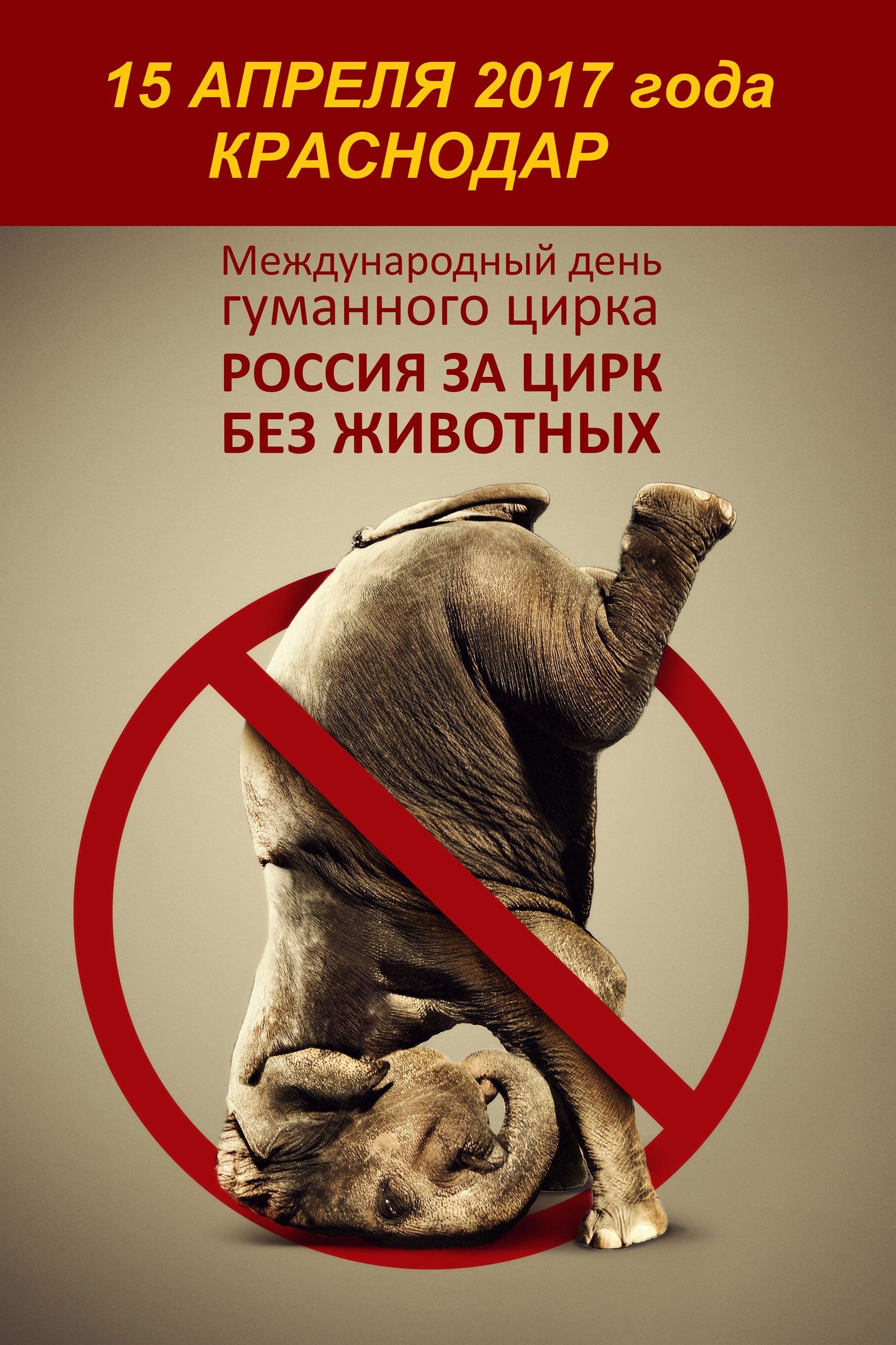 Запрет животных в цирке. Против цирка с животными. Запретили животных в цирке. Запрет цирков с животными. Социальные плакаты с животными.