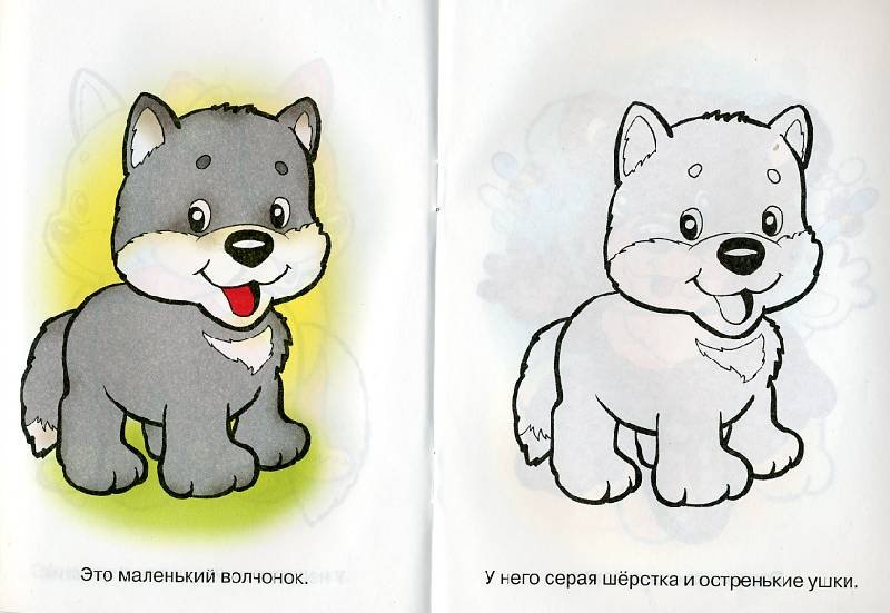 Юлия Дорошенко: Первая книжка малыша о животных