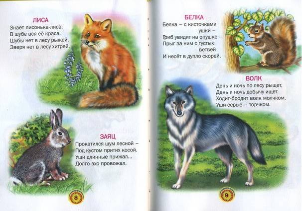 Началова загадки лисы читать. Стих о диком животном для детей. Стихи про животных для детей. Стишки про животных для детей. Детские стихи про животных.