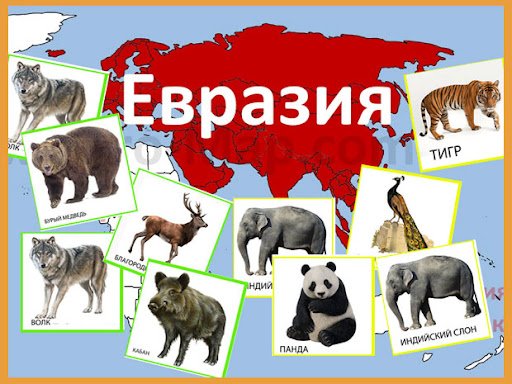 Кто живет в евразии. Животный мир Евразии. Животные для Евы. Животные из Евразии. Обитатели Евразии для детей.