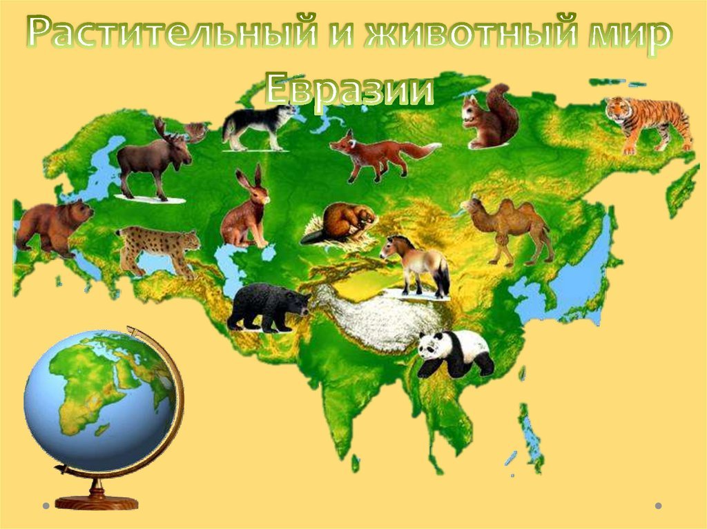 Растительный и природный мир евразии