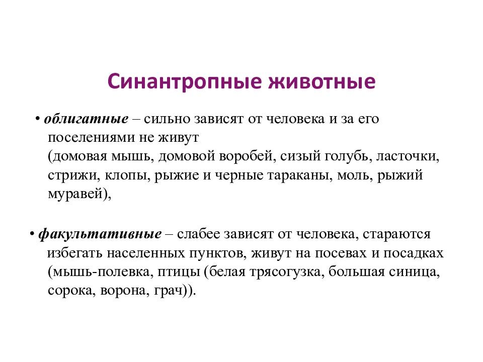 Синантропные животные это. Синантропные животные. Синантропный организм. Основы экологии. Картинки Синантропизация.