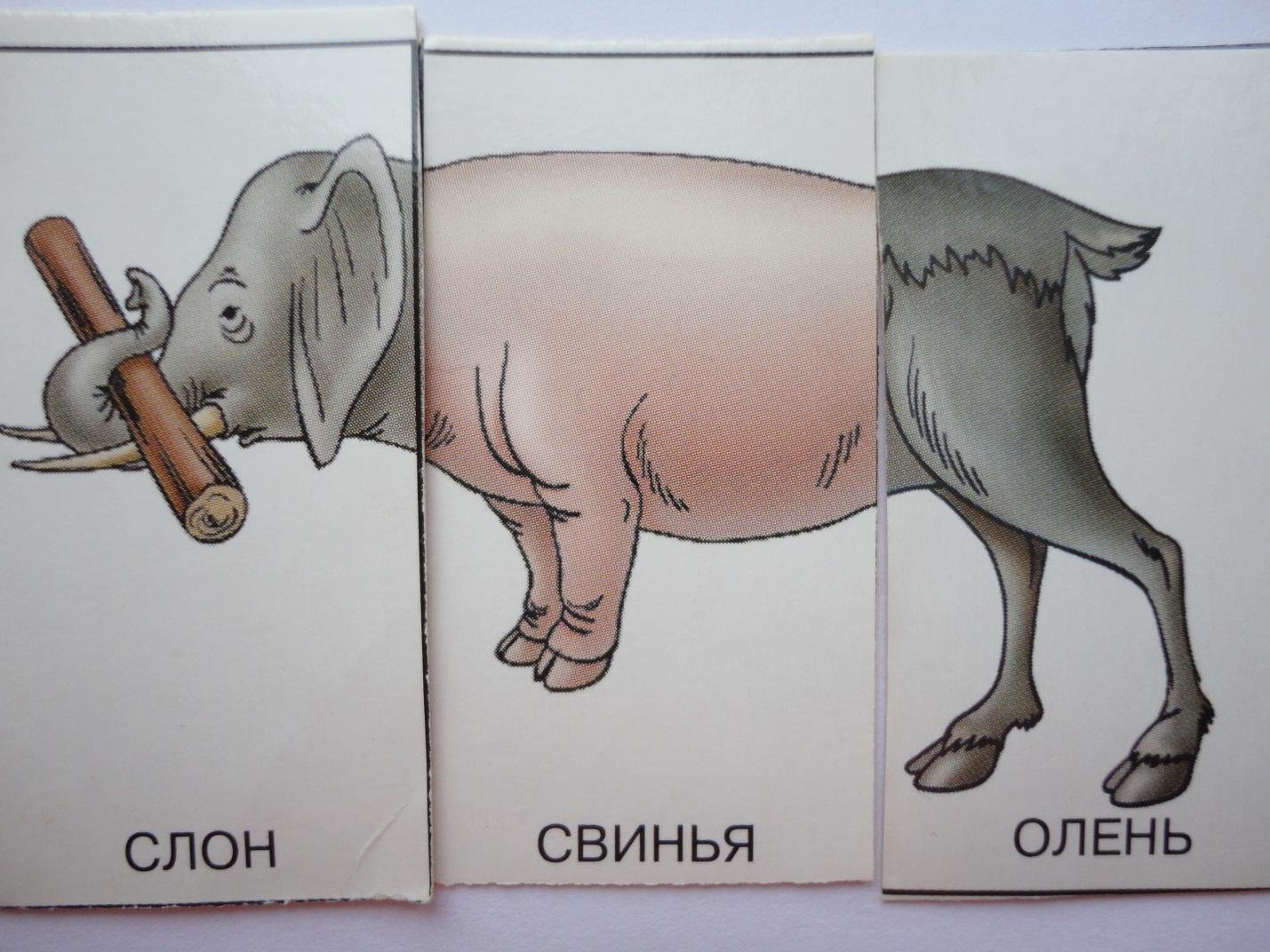 Карточки с изображением несуществующих животных