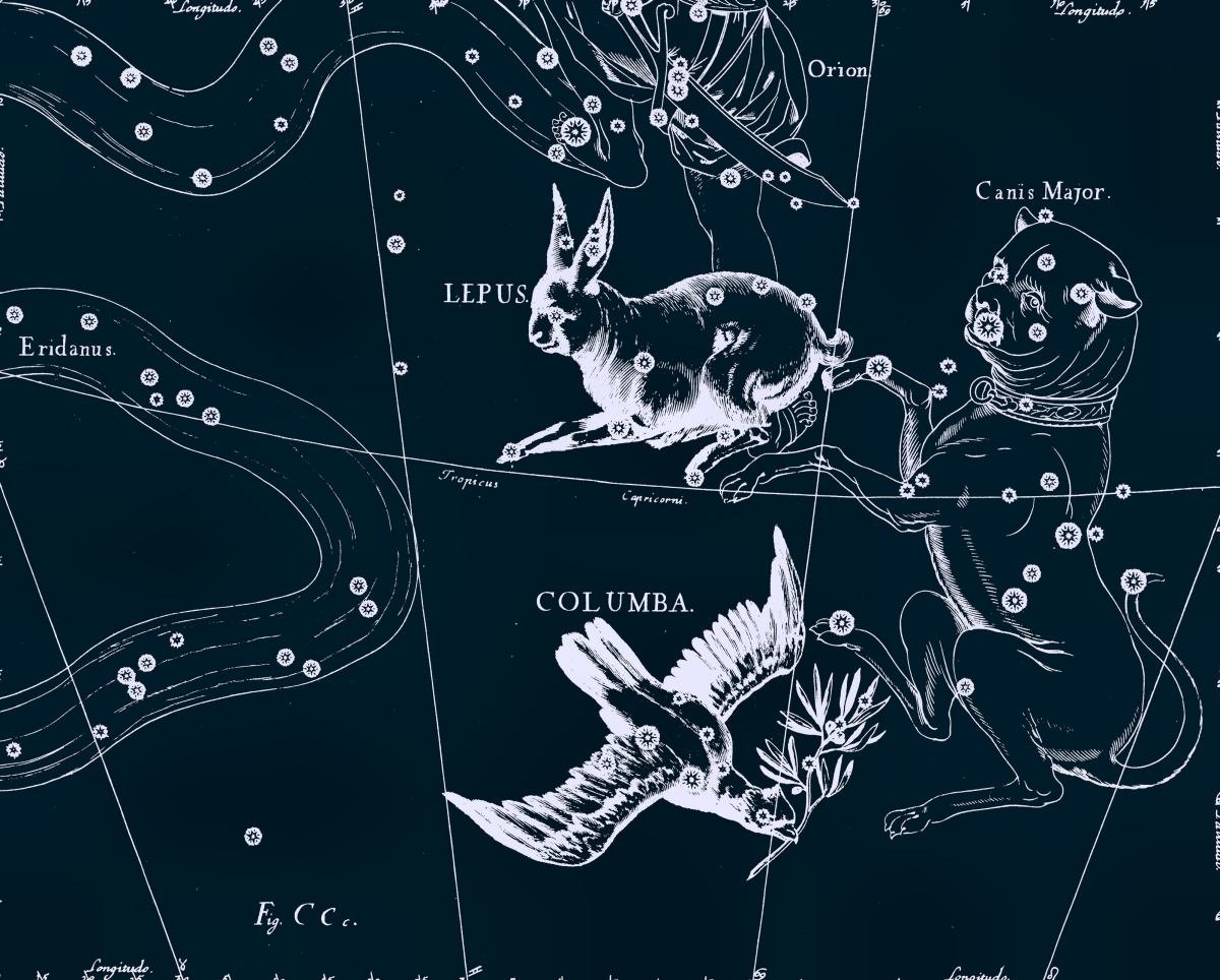 Летящее созвездие. Созвездие зайца на карте звездного неба.