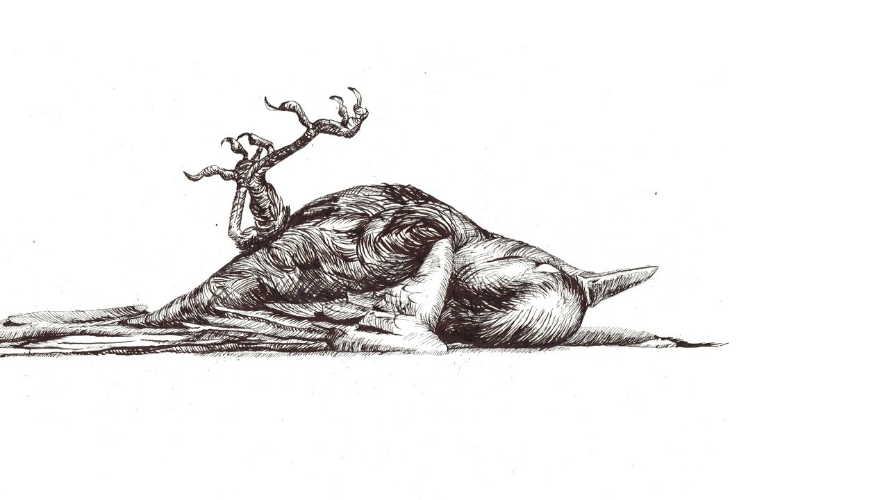 Мертвая птица эскиз