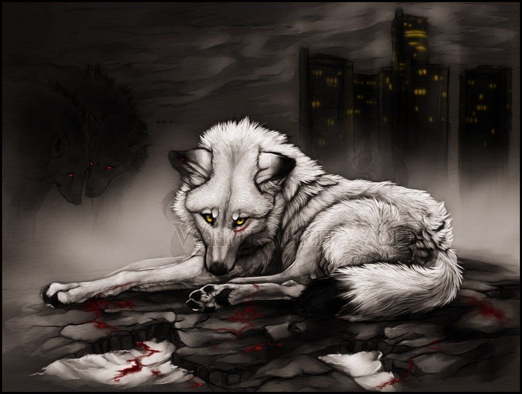 фото умершей волчицы