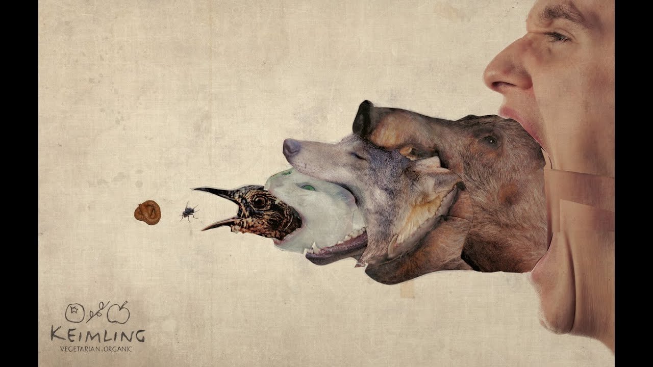 Все живое можно есть. Реклама с изображением животных. Животные вегетарианцы едят мясо. Креативные животные.