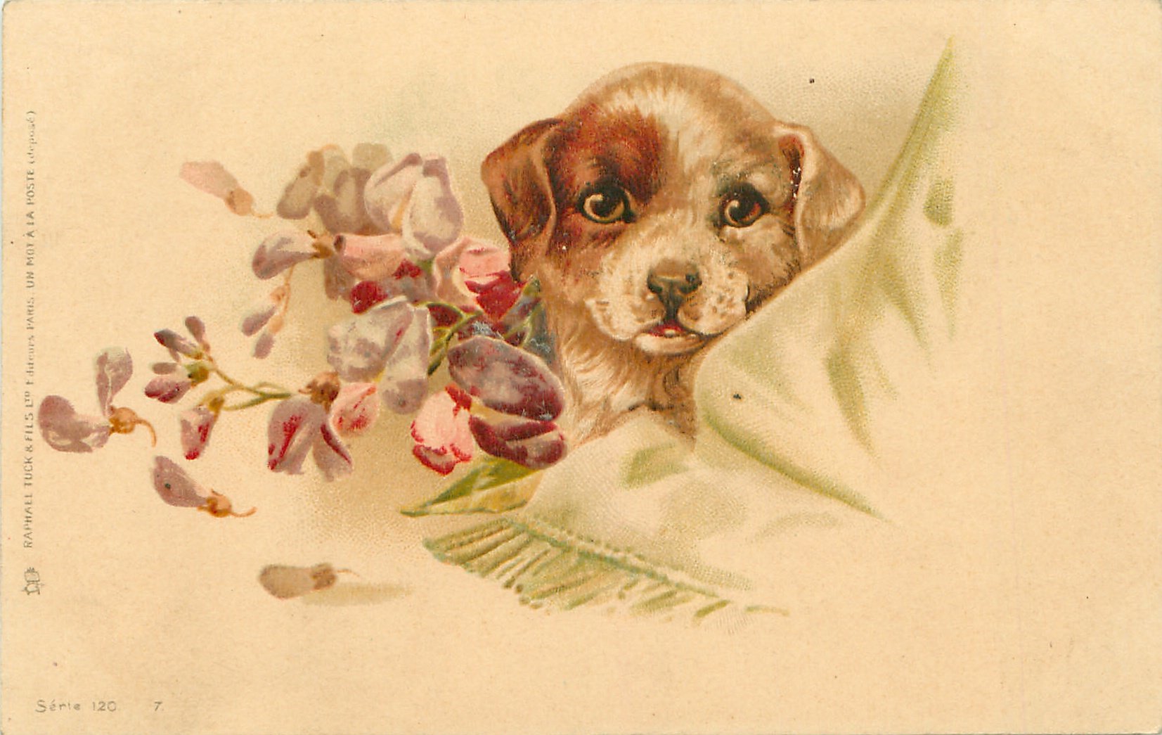 Советские открытки с собаками