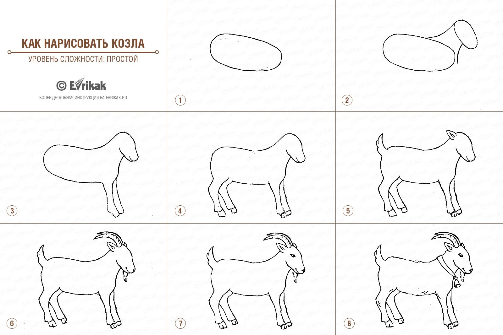 Как нарисовать козу поэтапно