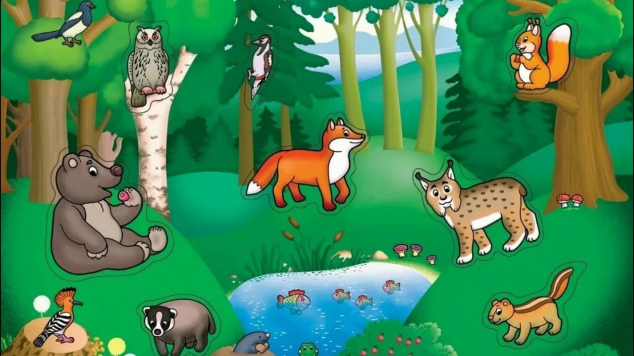 Урок дикие животные. Лесные животные для детей. Звери в лесу для детей. Обитатели леса для детей. Лесные звери для детей.