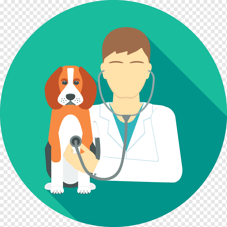 Иллюстрации Ветеринария