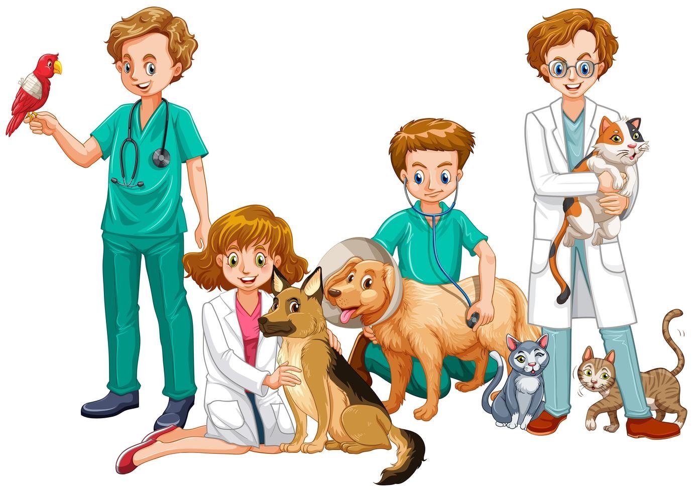 Картина ветеринар для детей
