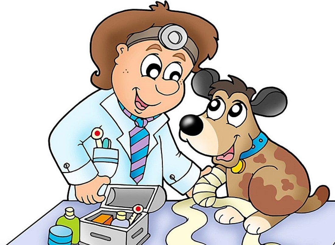 Профессия ветеринар для детей