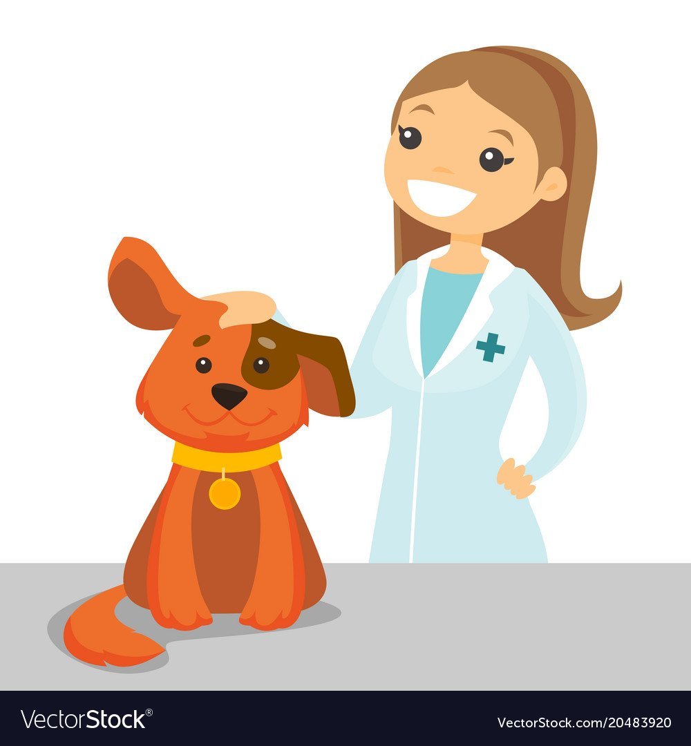 Рисунок ветеринар с собакой для детей