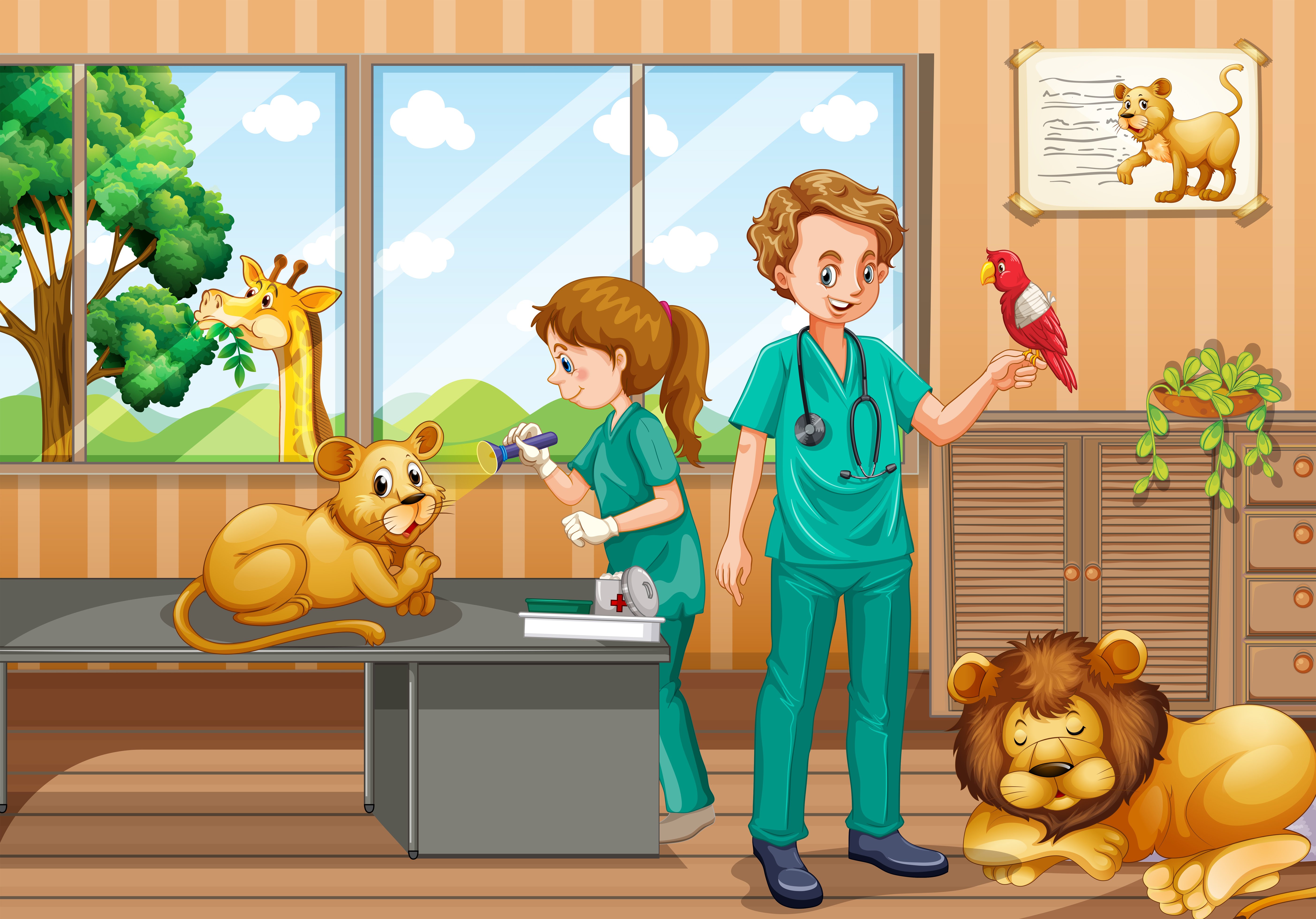 Ветеринар для детей занятия