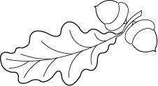 Дубовый лист раскраска