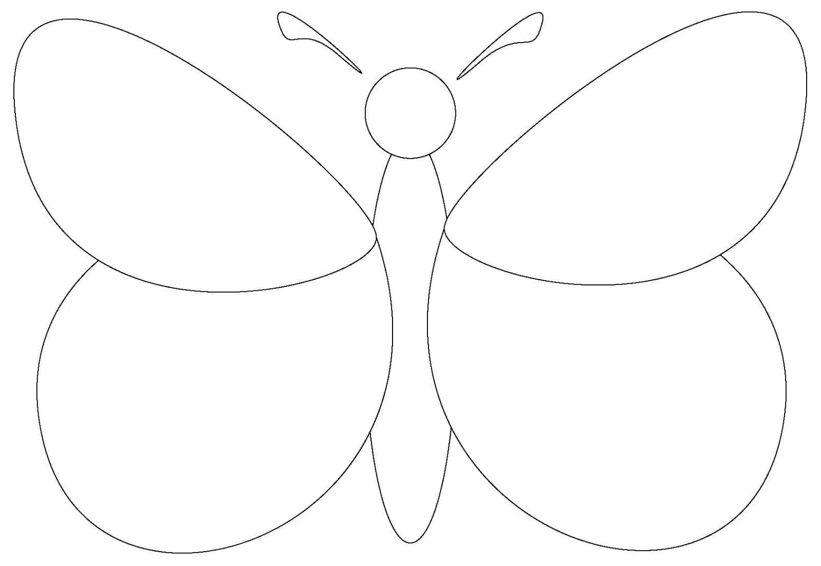 Контур бабочки для аппликации