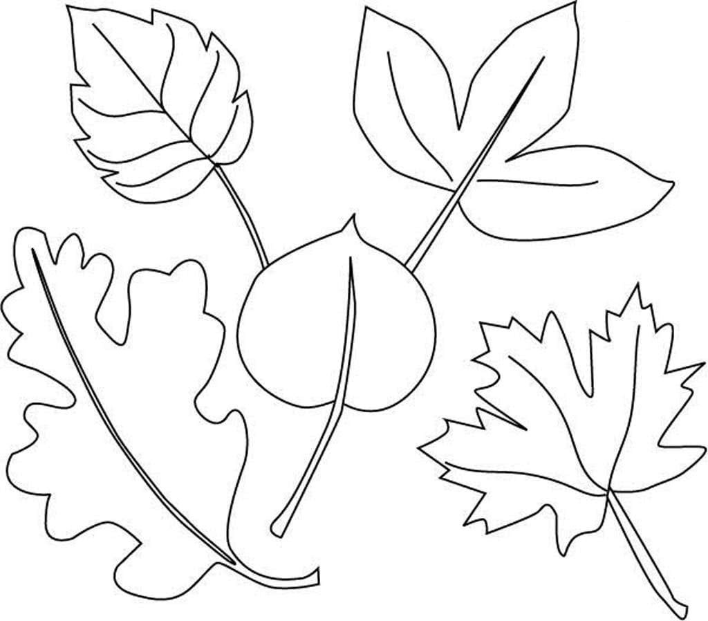 Листья раскраска для детей