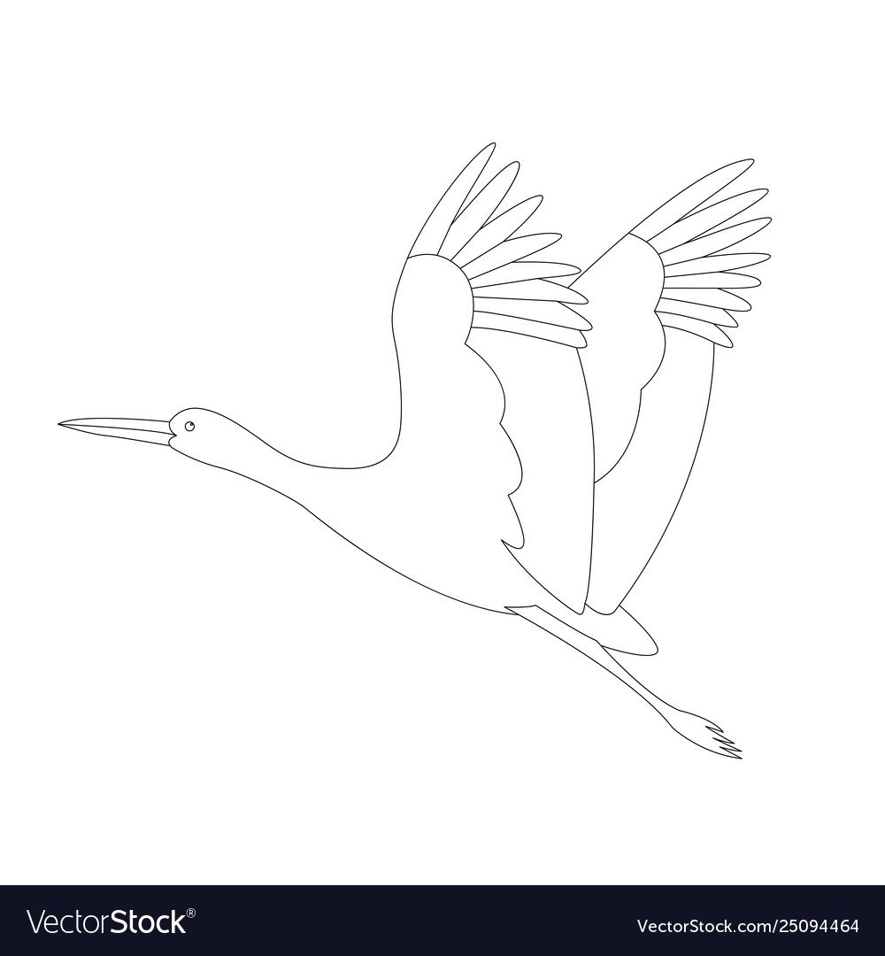 Как нарисовать летящего журавля