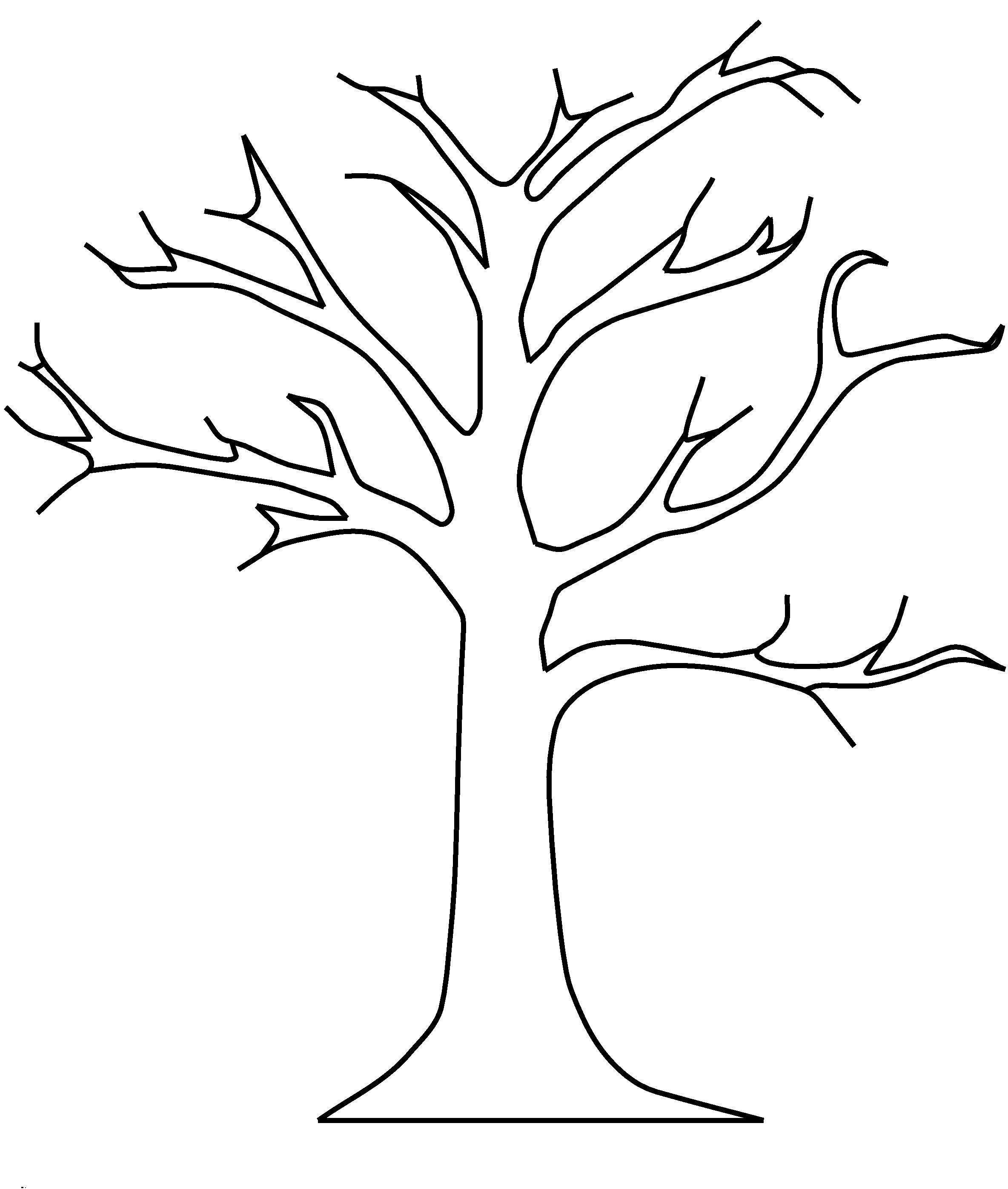 Дерево рисунок без листьев