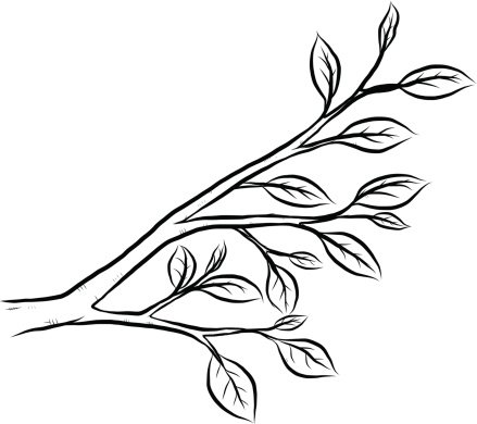 Ветка раскраска для детей