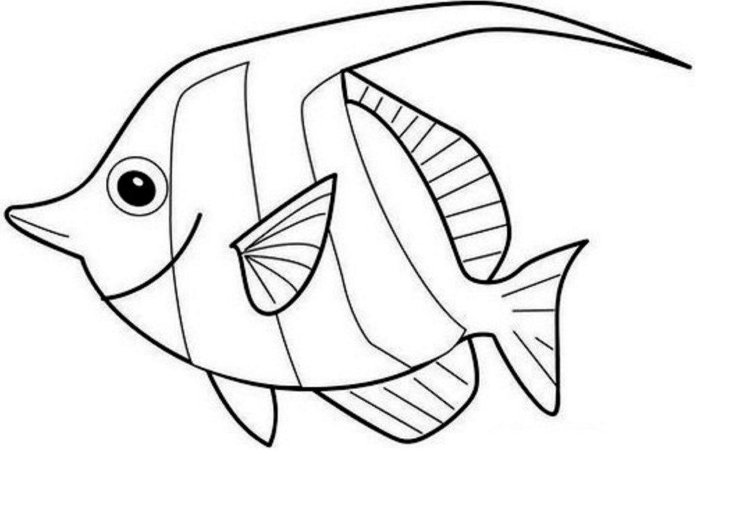 Контурный рисунок рыбка