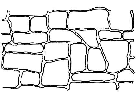 Трафарет для декоративного камня