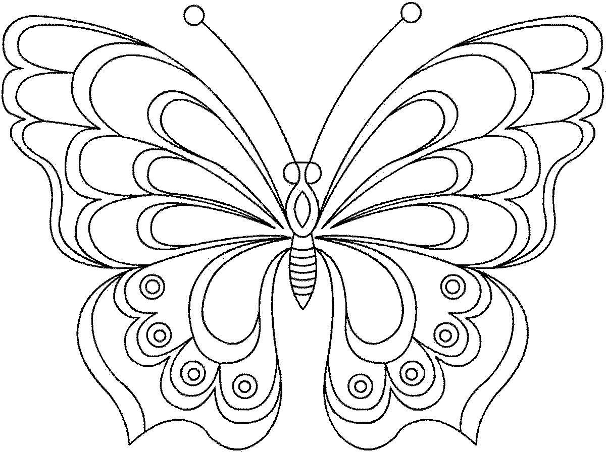 Раскраска стендов 2 бабочка