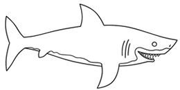 Контур акулы для вырезания