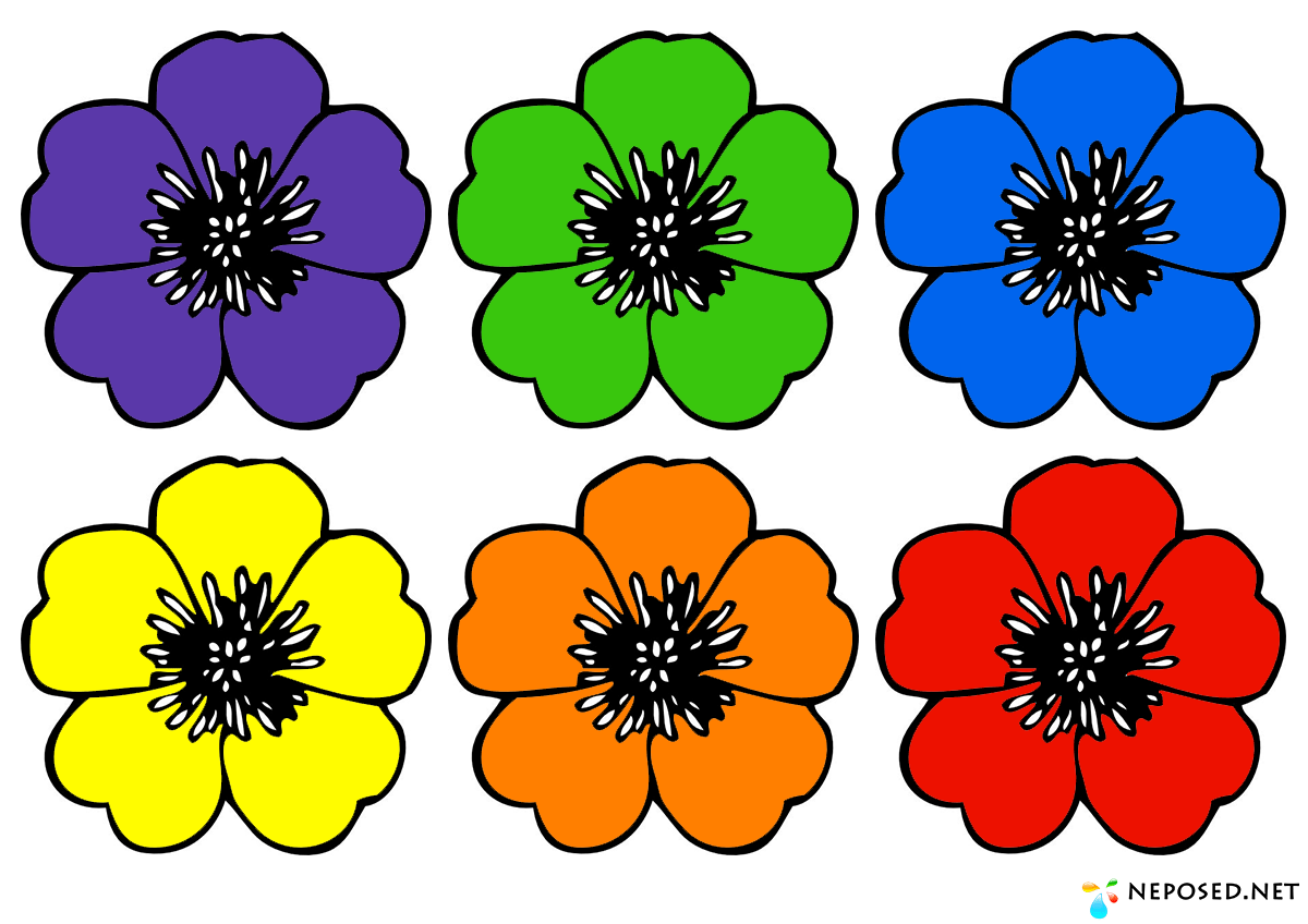 Цветы трафареты рисунки цветные (49 фото) » рисунки для срисовки на  Газ-квас.ком