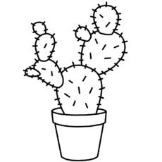 Раскраска комнатные растения Кактус