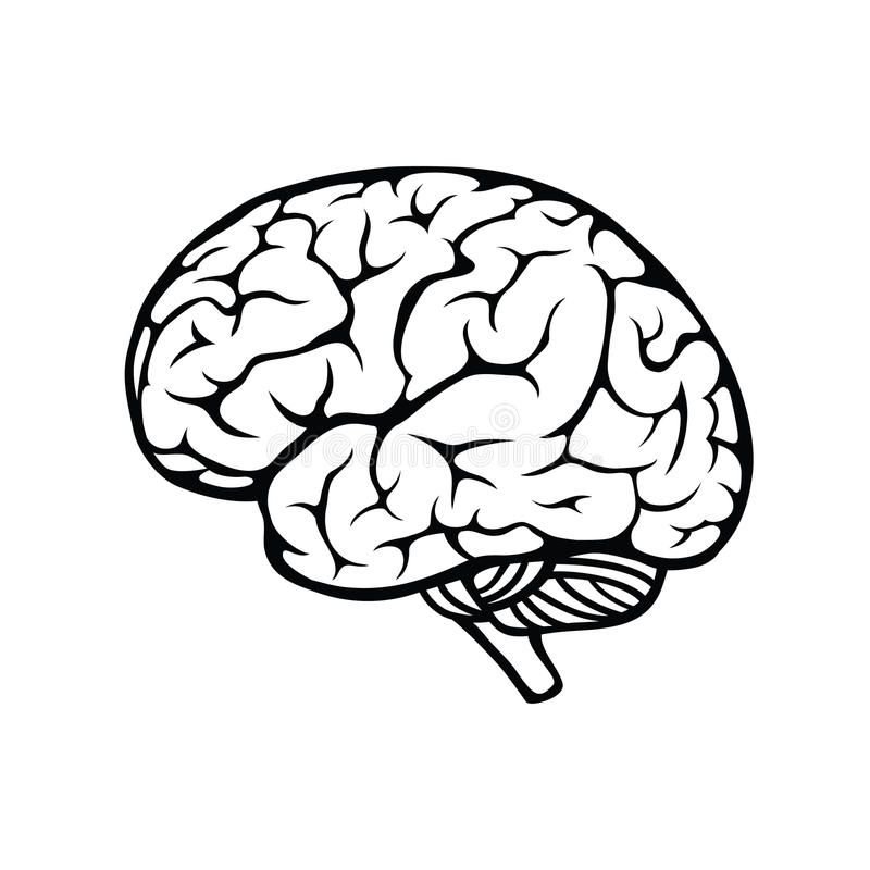 Рисунок мозга легко. Мозг рисунок. Мозг трафарет. Мозги рисунок простой. Головной мозг трафарет.
