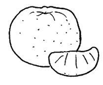 Мандарин трафарет рисунок (45 фото)