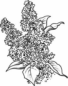 Трафареты торцевание сирень