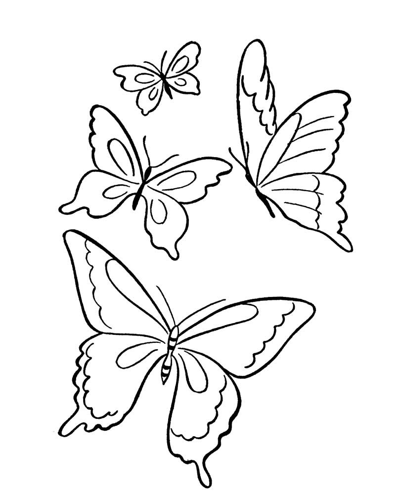 Маленькие бабочки раскраска