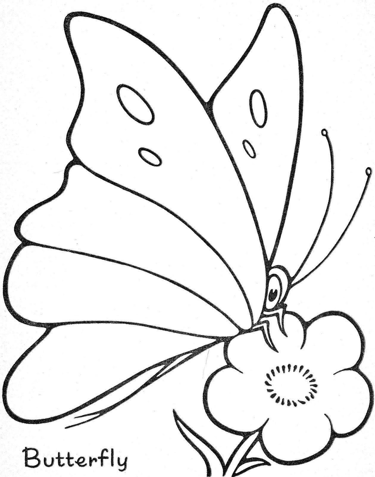 Бабочка на цветке трафарет